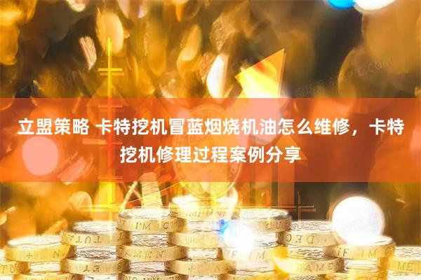立盟策略 卡特挖机冒蓝烟烧机油怎么维修，卡特挖机修理过程案例分享