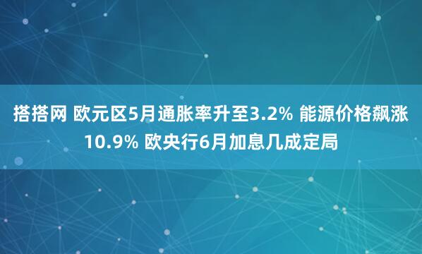 搭搭网 欧元区5月通胀率升至3.2% 能源价格飙涨10.9% 欧央行6月加息几成定局